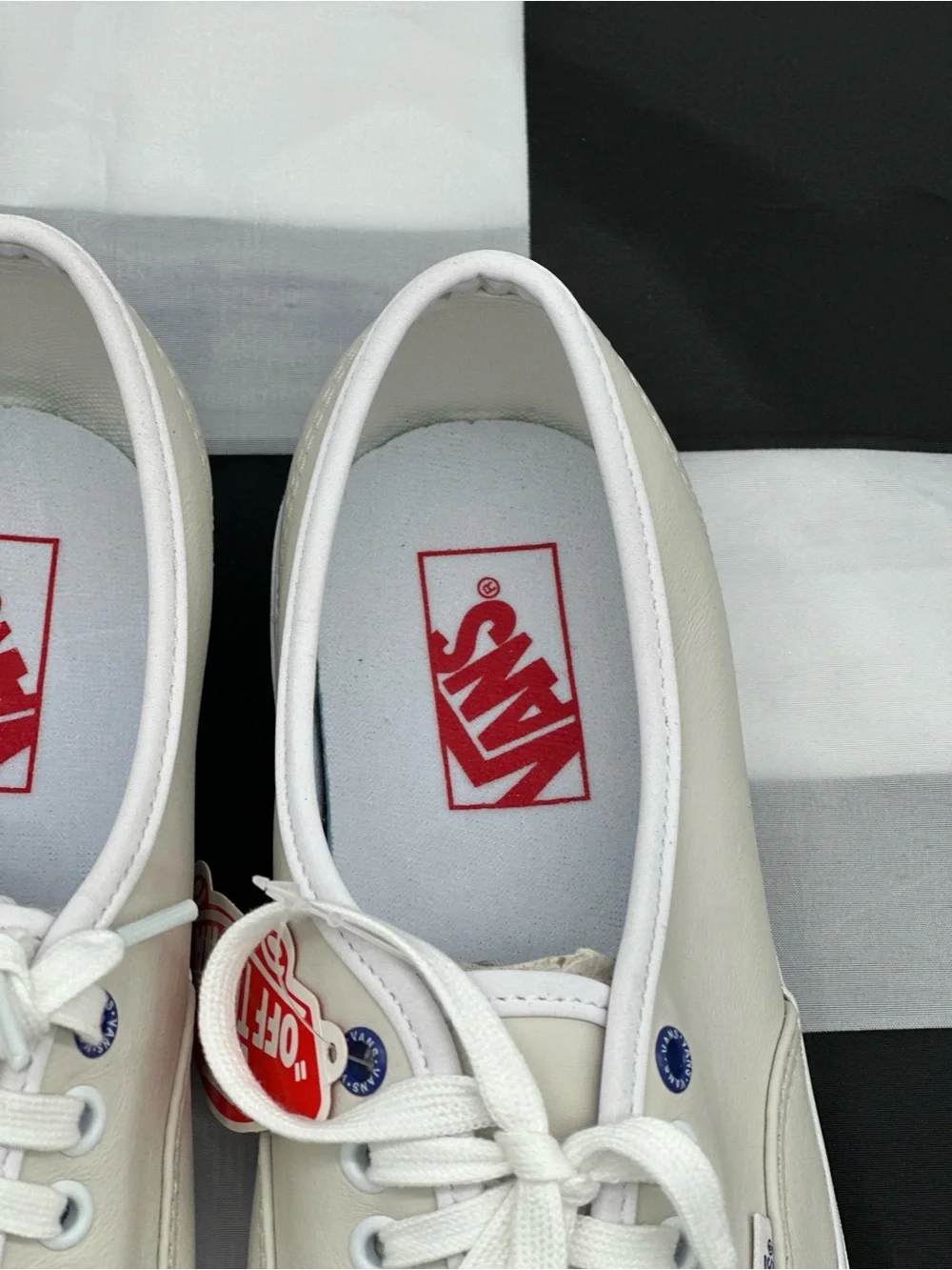 Vans Low-Top Sneakers in Off-White with Navy Trim